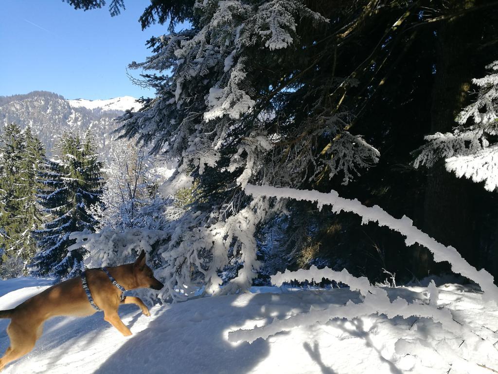 Chalet Glockenhof Валхзее Екстериор снимка